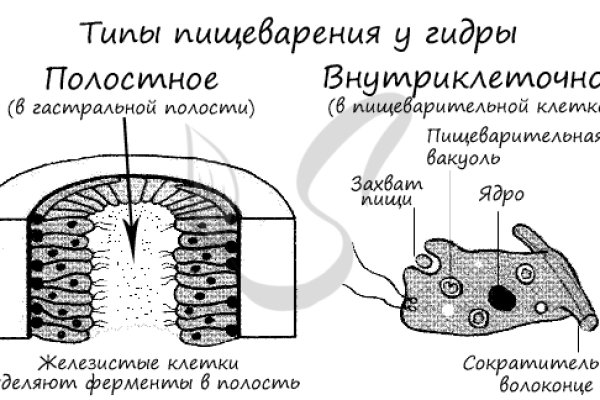 Кракен это современный даркнет маркетплейс