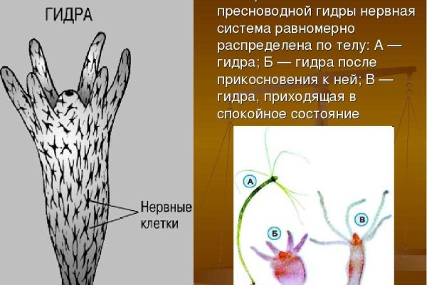 Кракен маркет это