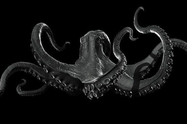 Kraken darknet store