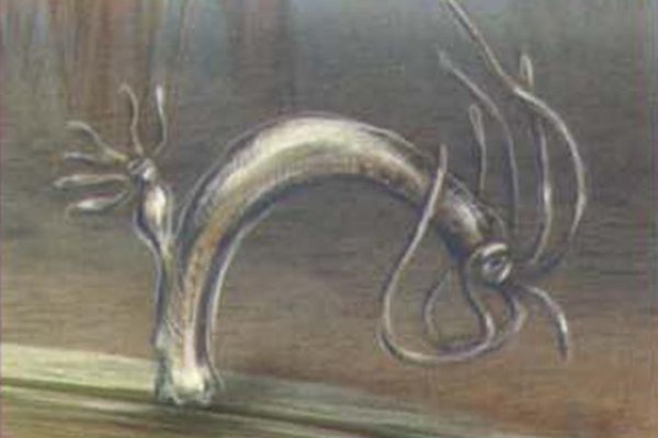 Kraken даркнет gigageek ru